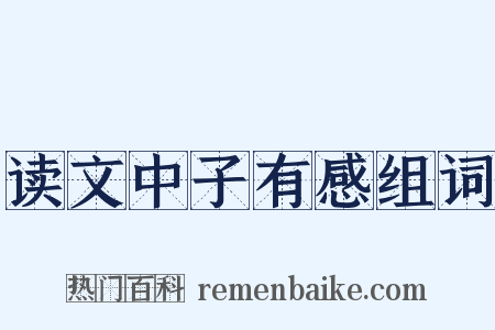读文中子有感组词是什么意思的图片